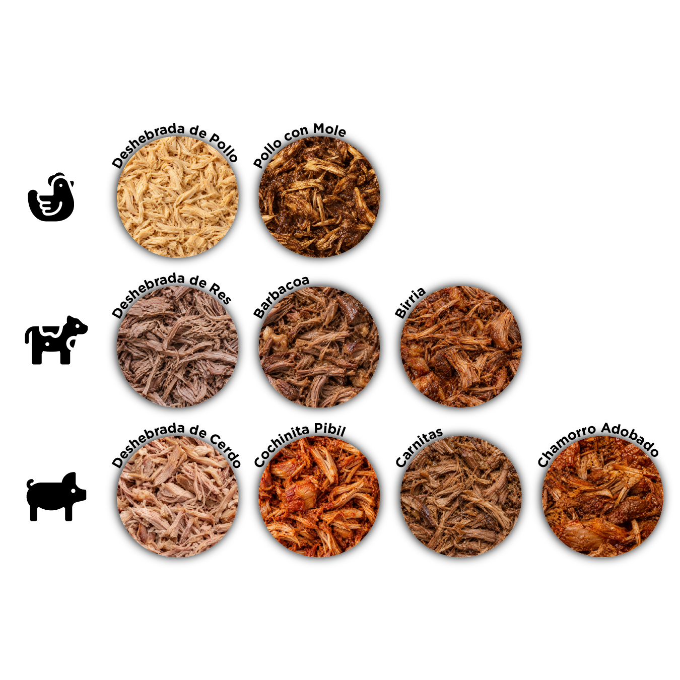 Conoce Nuestros Sabores